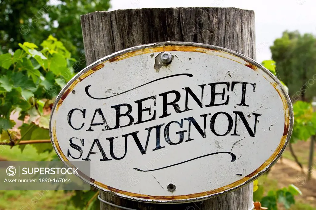 Cabernet Sauvignon sign in the Pepper Tree Winery, Hunter Valley, Australia