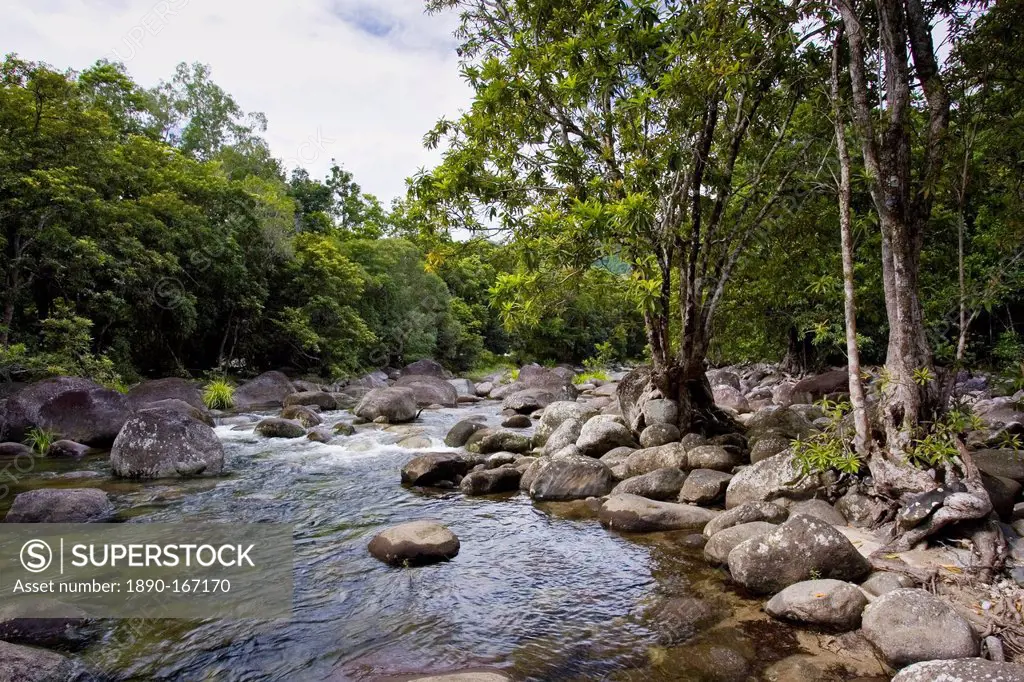The Mossman River in the Daintree Rainforest, Queensland, Australia