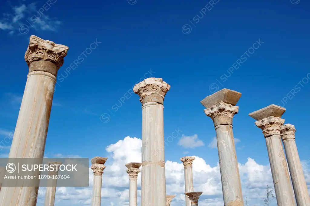 The columns of the central basilica, Apollonia, Libya, North Africa, Africa