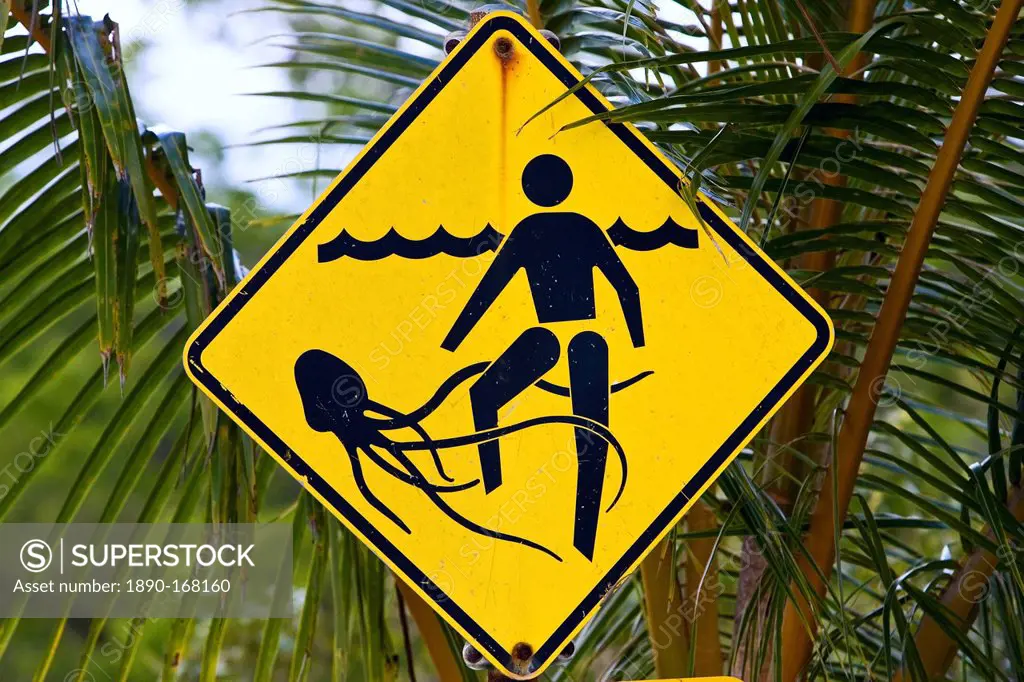 Marine stingers warning sign on Myall Beach by Cape Tribulation, Queensland, Australia