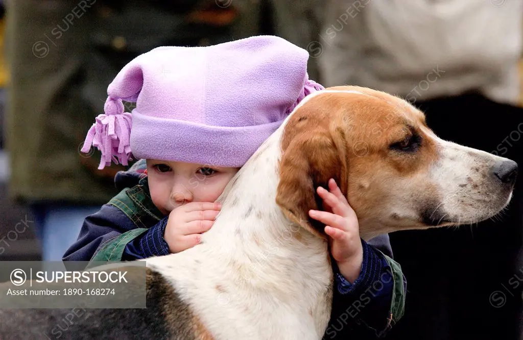 A toddler crying whilst embracing a foxhound before the Heythrop New Year's Day Hunt in the Market Place in Stow on the Wold, Oxfordshire