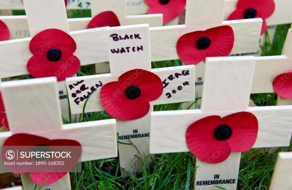 Wooden crosses and poppies in the field of remembrance at Westminster Abbey to commemorate those who have died in battle. Three of the crosses represe...