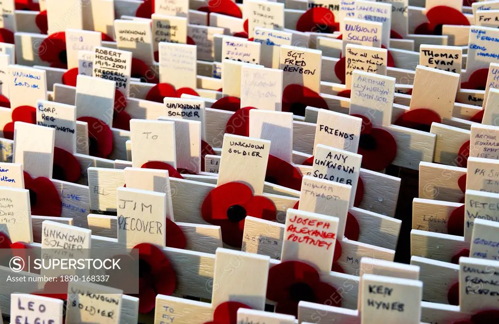 The Field of Remembrance at St Margaret's Church in Westminster.