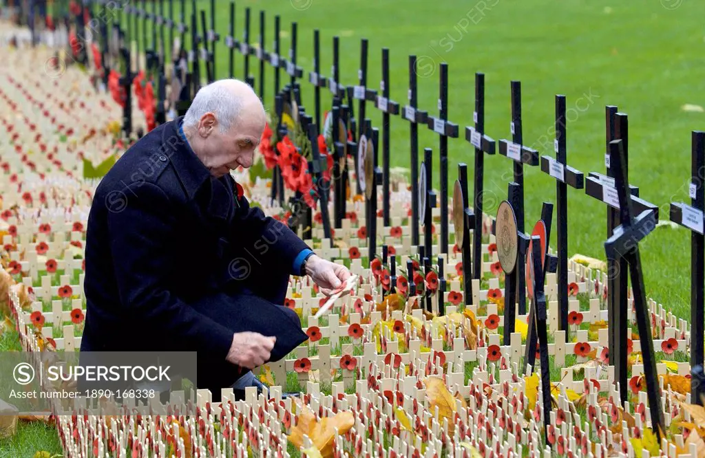 Veteran At St Margaret's Church, Westminster Inspects Crosses In The Royal British Legion Field Of Remembrance