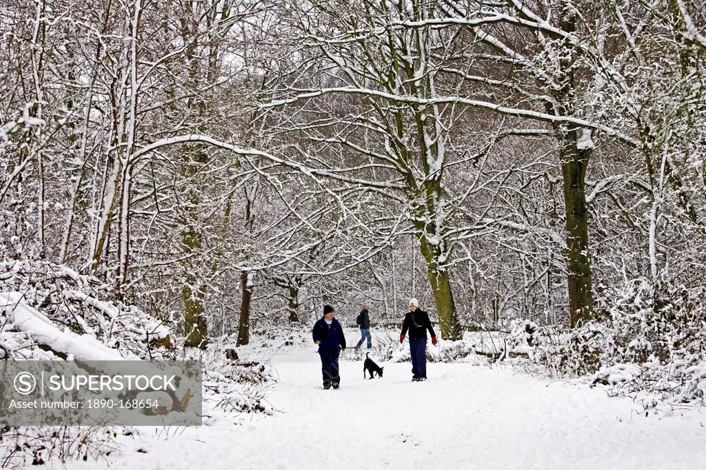 Couple on a winter's day walk the dog across snow-covered Hampstead Heath, North London, United Kingdom