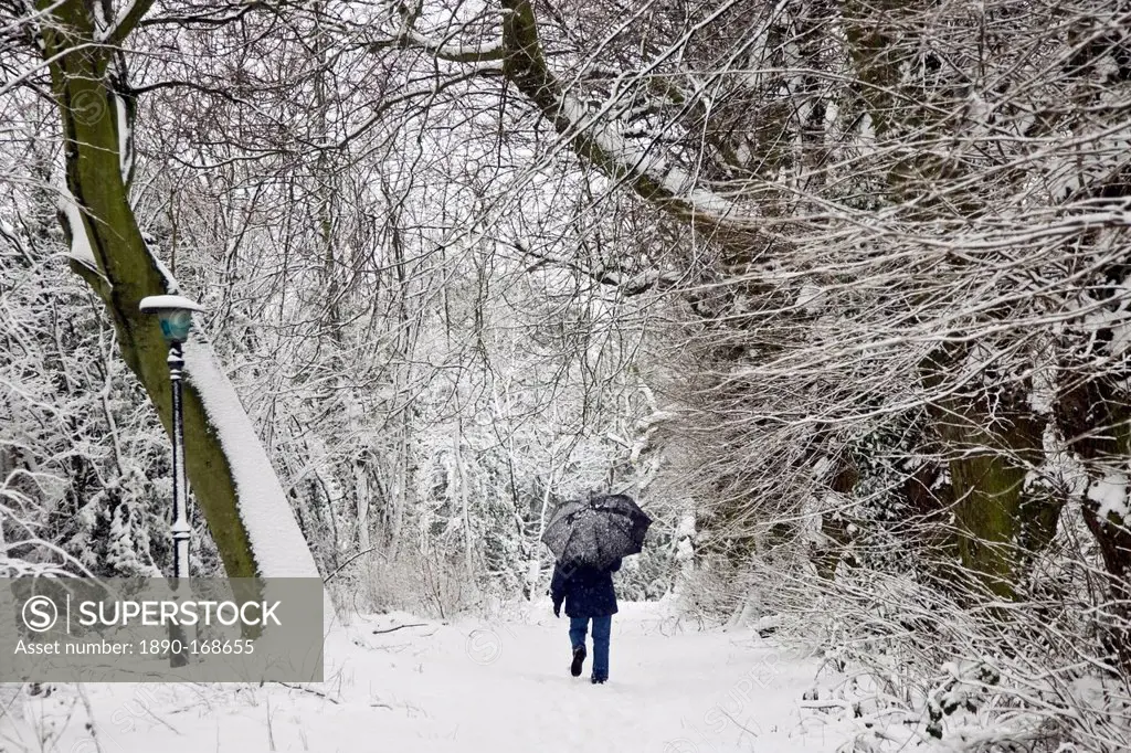 Walker strolls with umbrella across snow-covered Hampstead Heath, London, United Kingdom