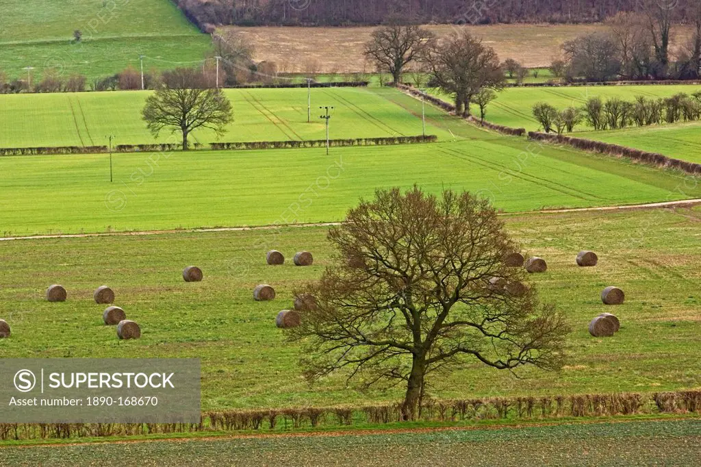 Oxfordshire countryside, England, United Kingdom