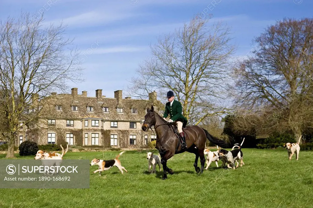 Member of Heythrop Hunt rides with hounds at traditional Hunt Meet on Swinbrook House Estate in Oxfordshire, United Kingdom