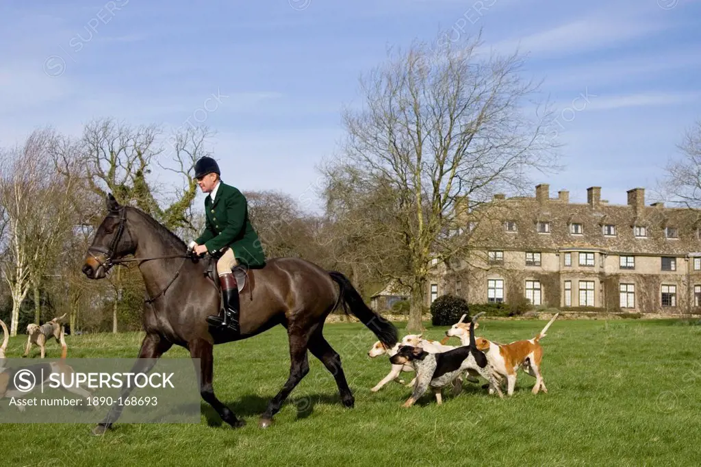 Member of Heythrop Hunt rides with foxhounds at traditional Hunt Meet on Swinbrook House Estate in Oxfordshire, United Kingdom
