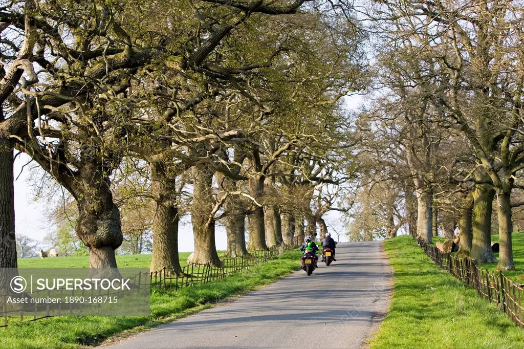 Motorcyclists on tree-lined country road, Stanway, Gloucestershire, United Kingdom