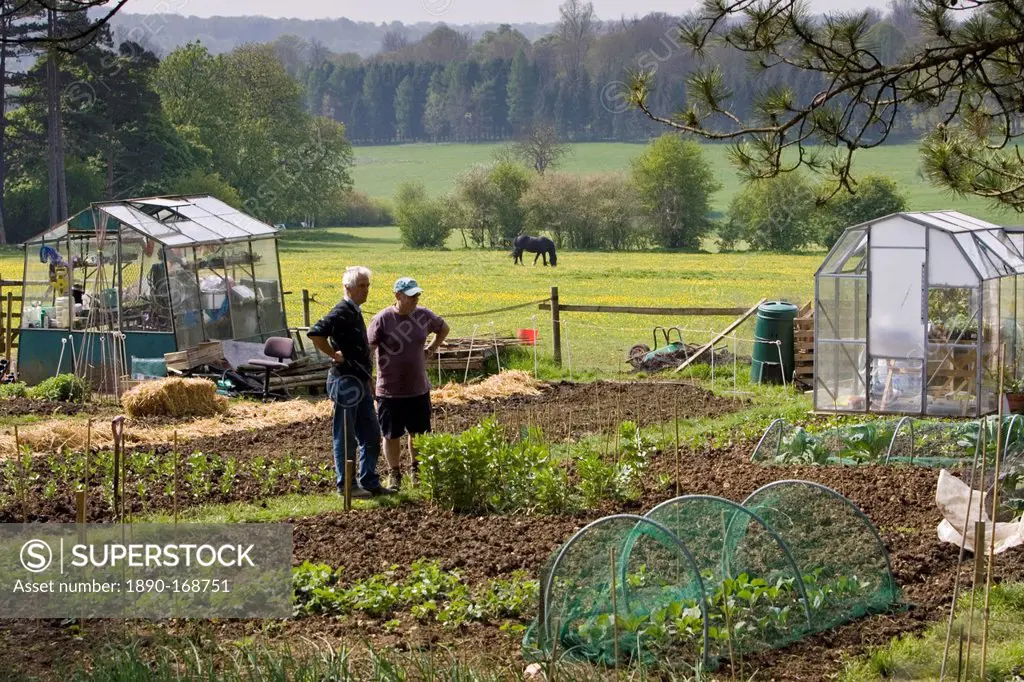 Gardeners chat beside their allotments, Chadlington, Oxfordshire, United Kingdom