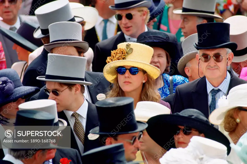 Racegoers watch the day's racing at Ascot Races, Surrey, United Kingdom