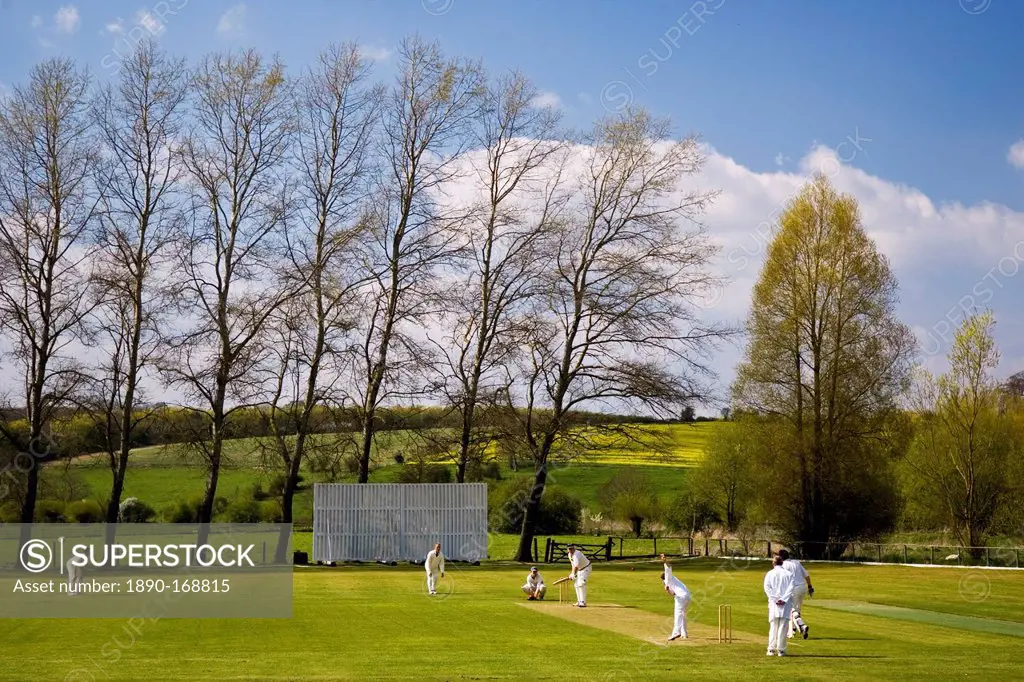 Locals play cricket, Swinbrook, The Cotswolds, United Kingdom
