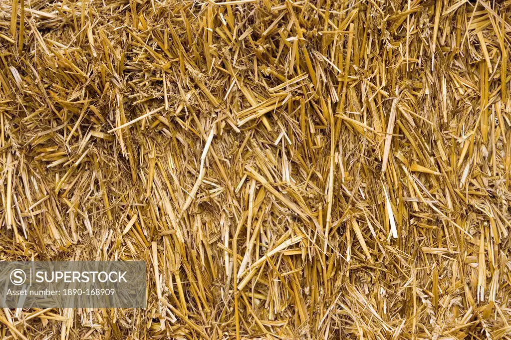 Straw in a bale, Cotswolds, United Kingdom