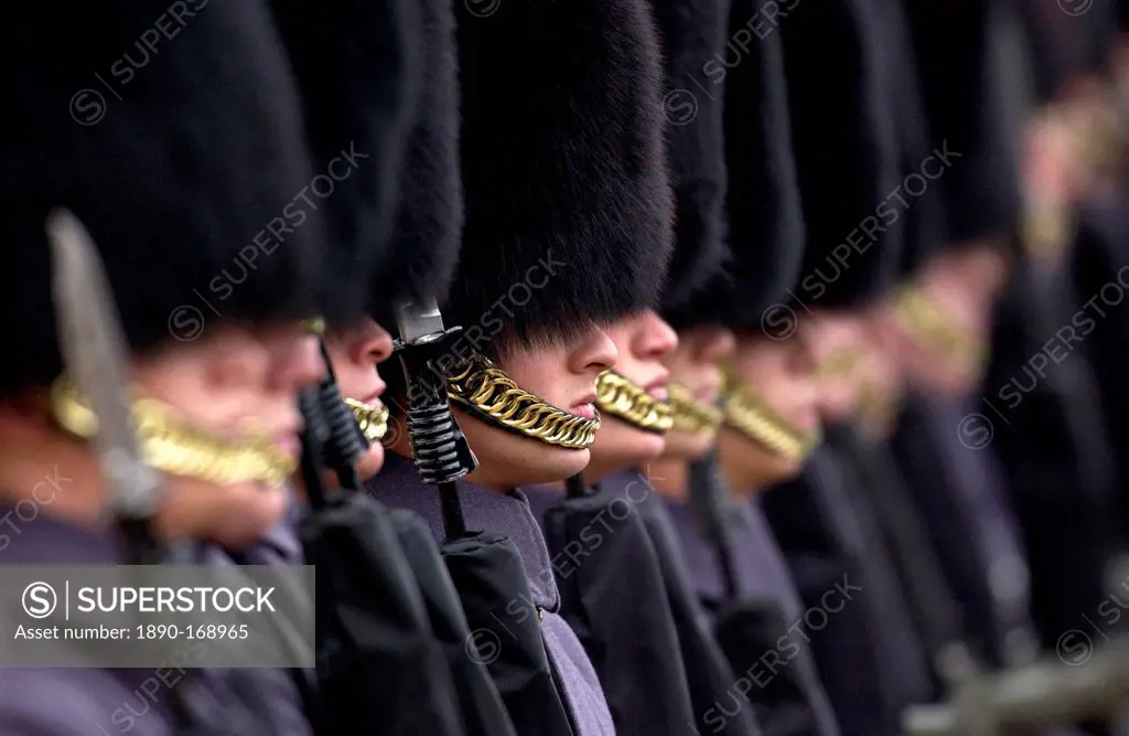 The Household Division Foot Guards guardsmen standing at attention on parade in London, UK