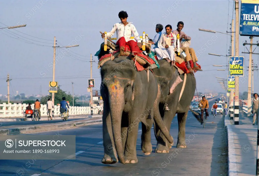 Riding Elephants, Old Delhi, India
