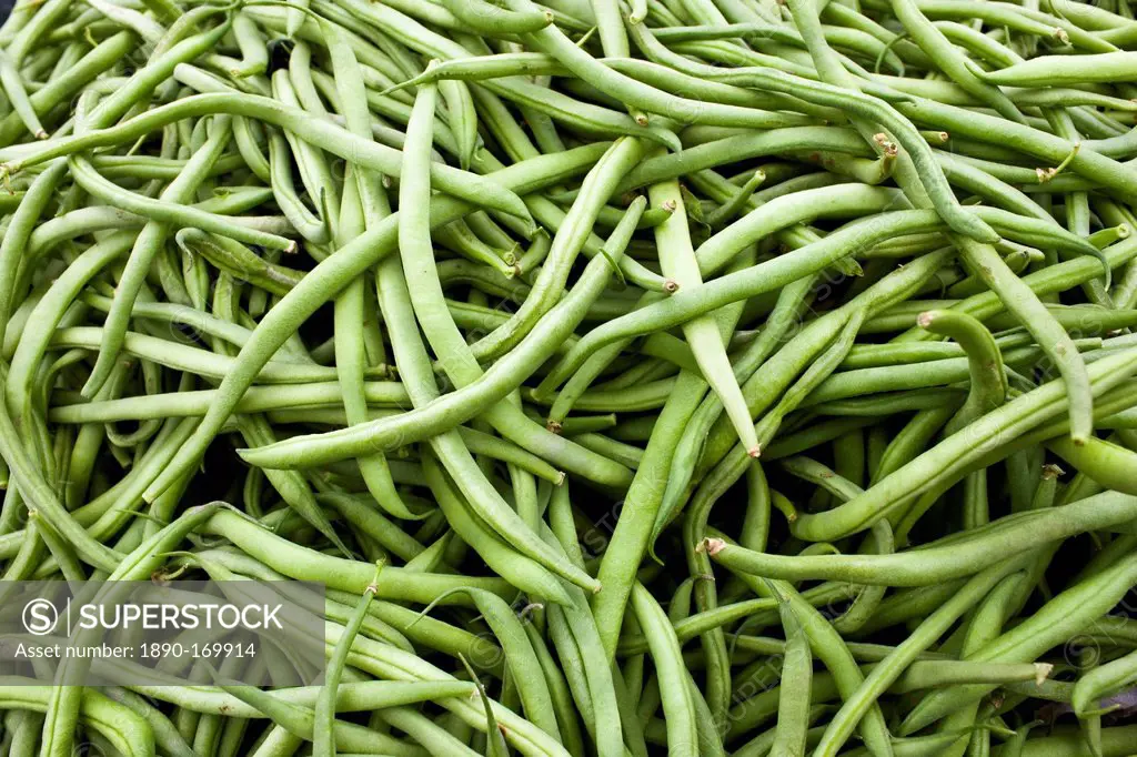 Local produce haricots verts beans at farmers market in Normandy, France