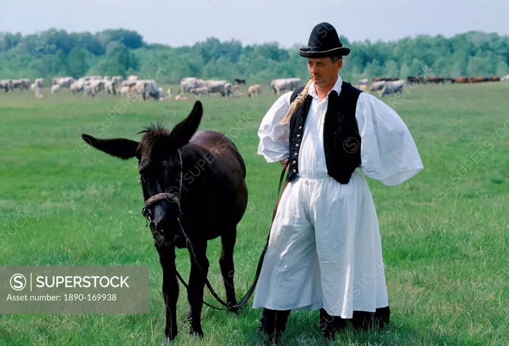 Hungarian Csikos cowboy with mule horse on The Great Plain of Hungary at Bugac, Hungary