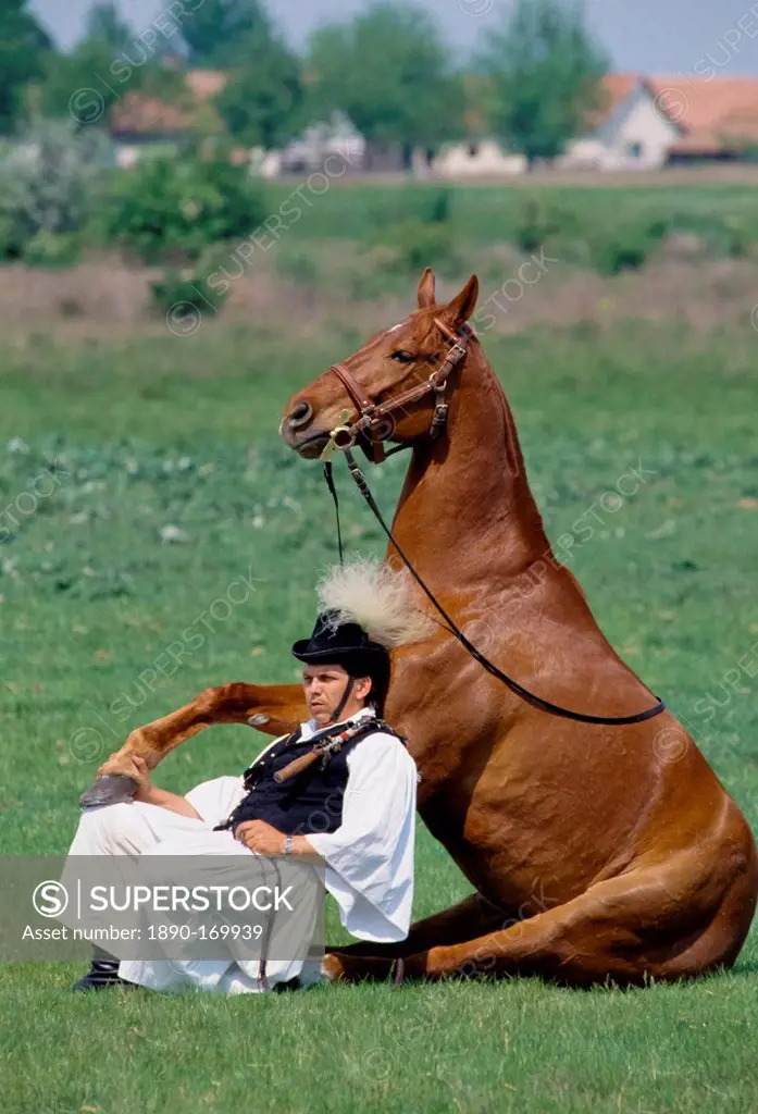 Hungarian Csikos cowboy showing horsemanship skills with horse on The Great Plain of Hungary at Bugac, Hungary