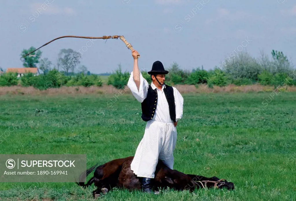 Hungarian Csikos cowboy giving display of horsemanship skills on The Great Plain of Hungary at Bugac, Hungary
