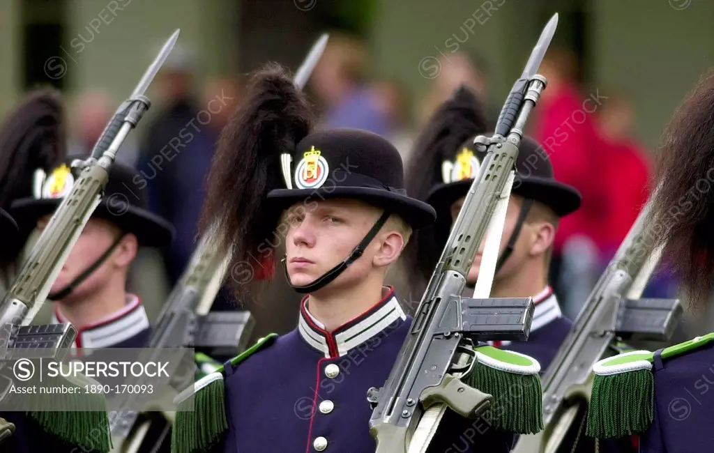 Guard of honour at the Norwegian War Memorial at Akershus Castle, Oslo, Norway