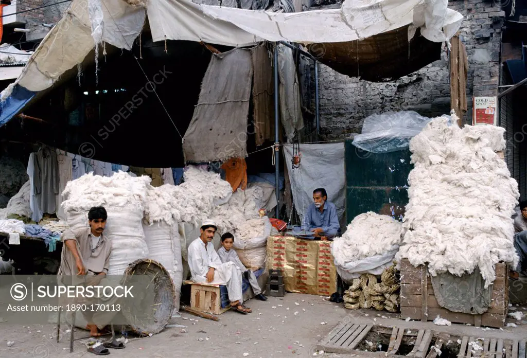 Newly picked cotton and hemp rope on sale at market in Islamabad, Pakistan