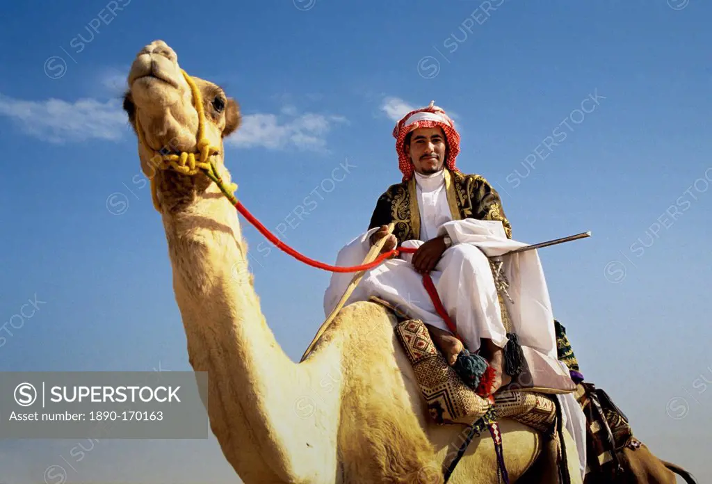 Camel and arab rider in Riyadh, Saudi Arabia