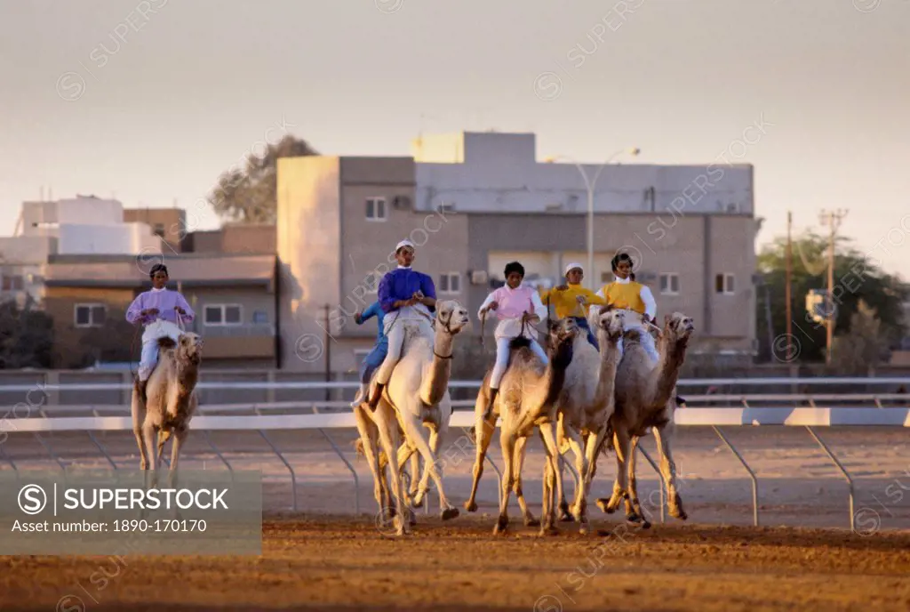 Camel racing at The Equestrian Club in Riyadh, Saudi Arabia