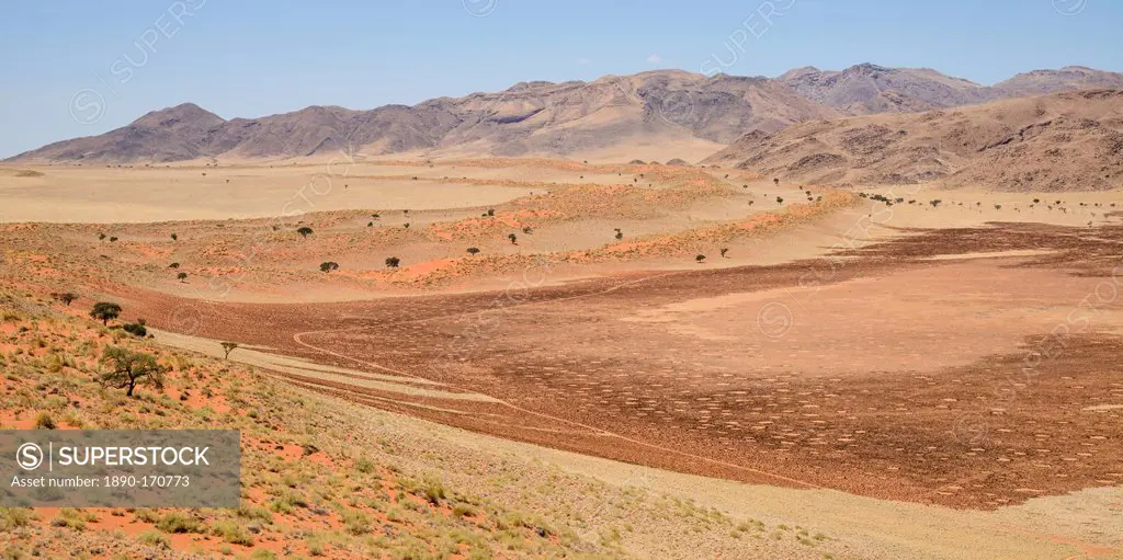 A large stretch of burnt fairy circles in NamibRand, Namib Desert, Namibia, Africa