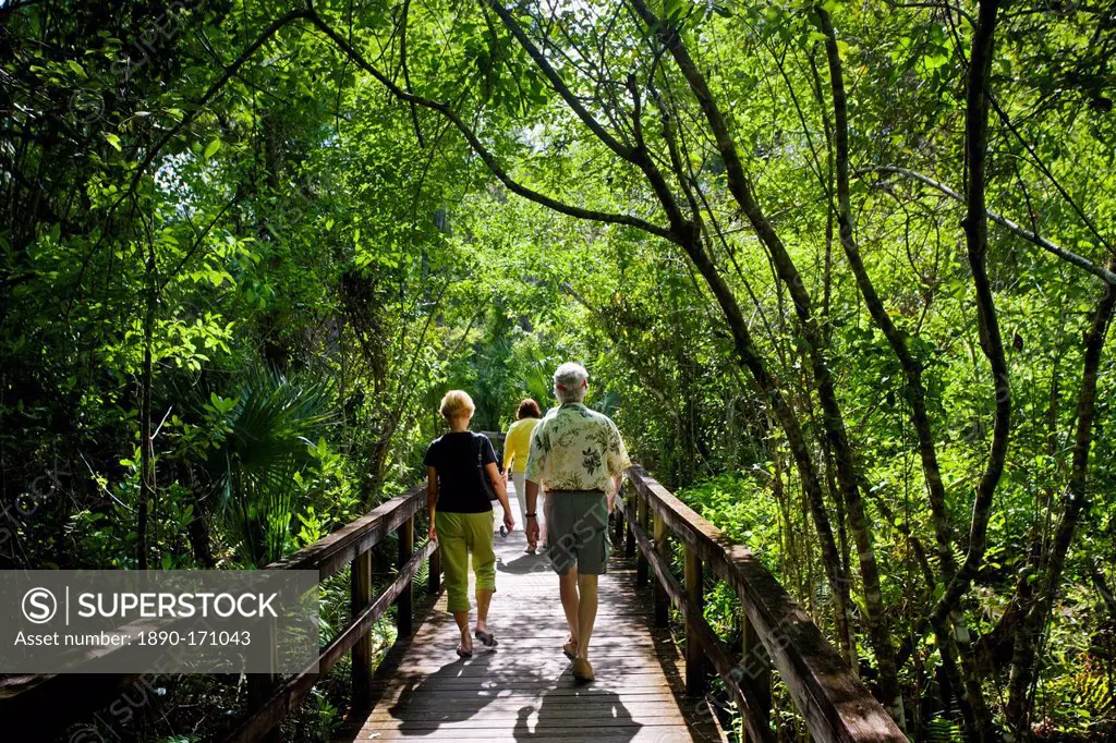 Tourists on the Big Cypress Bend boardwalk at Fakahatchee Strand, the Everglades, Florida, United States of America