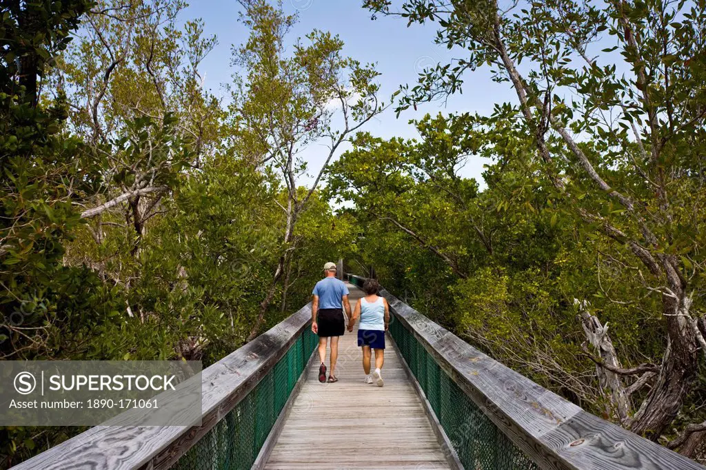Tourists on boardwalk in the Everglades, Florida, United States of America