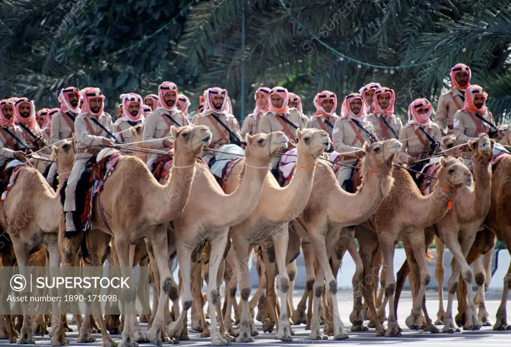 Cavalry soldiers riding camels, Abu Dhabi for celebration of 20th Anniversary of United Arab Emirates