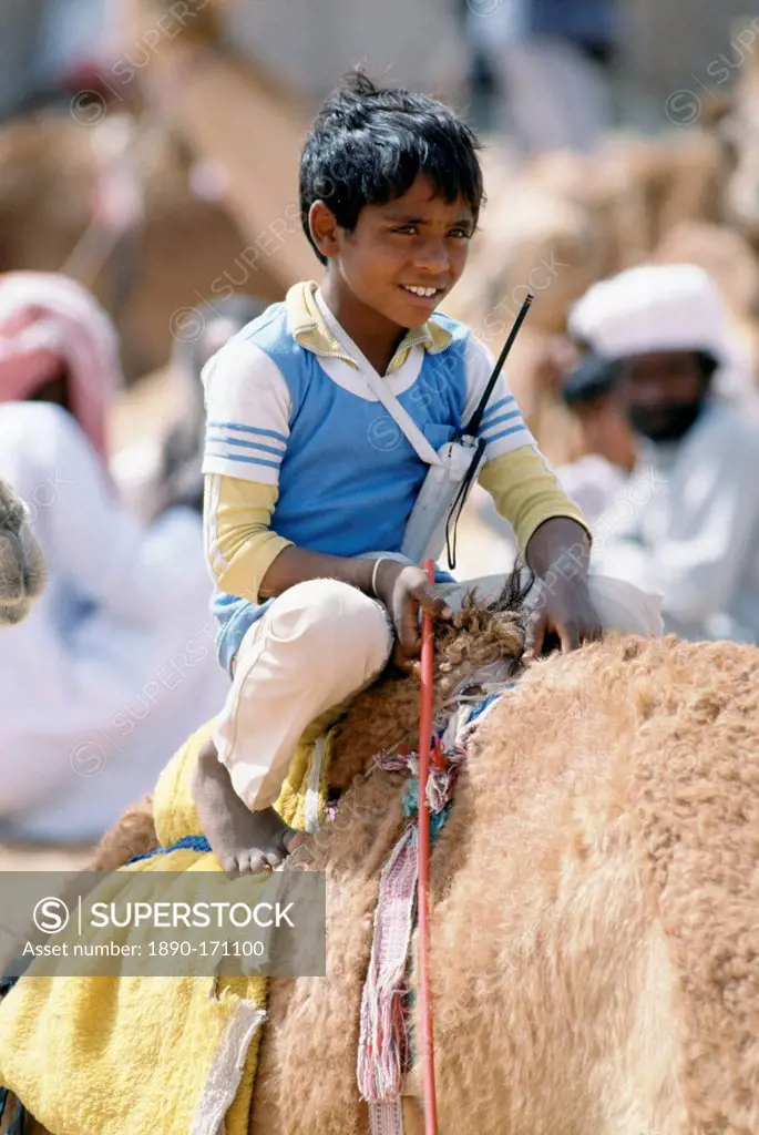 Boy jockey camel racing with walkie talkie radio early cellphone in Al Ain, Abu Dhabi, United Arab Emirates, Middle East