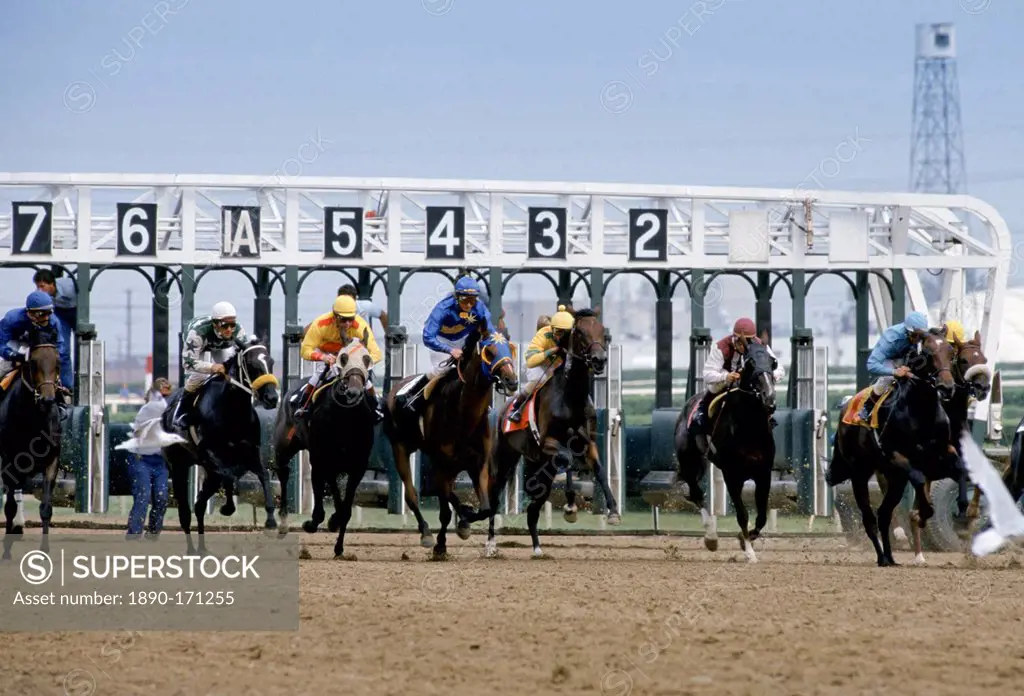 Horseracing at Woodbine Racecourse at Coburg in Canada