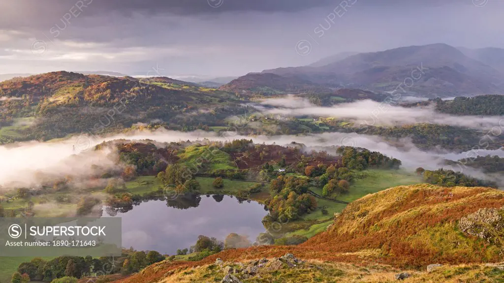 Mist covered landscape surrounding Loughrigg Tarn in autumn, Lake District, Cumbria, England, United Kingdom, Europe