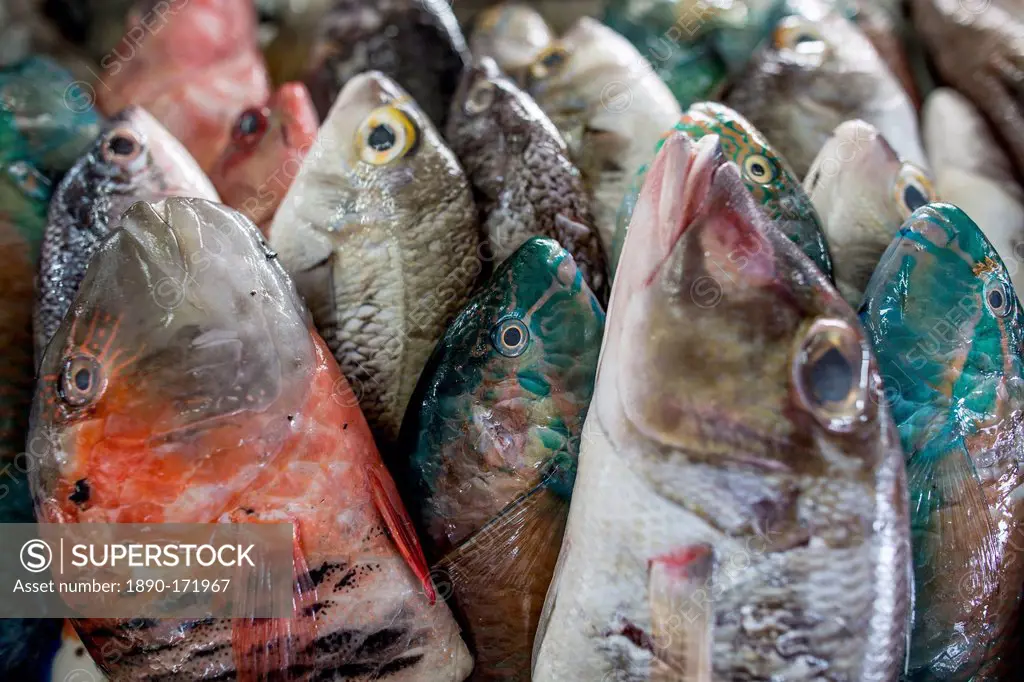 A collection of fish for sale in Kudat fish market, Sabah, Malaysian Borneo, Malaysia, Southeast Asia, Asia