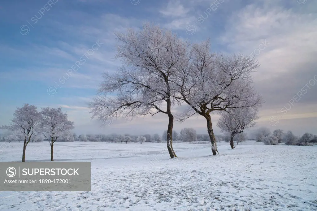 A beautiful hoar frost on a December afternoon at Bure Park in Great Yarmouth, Norfolk, England, United Kingdom, Europe