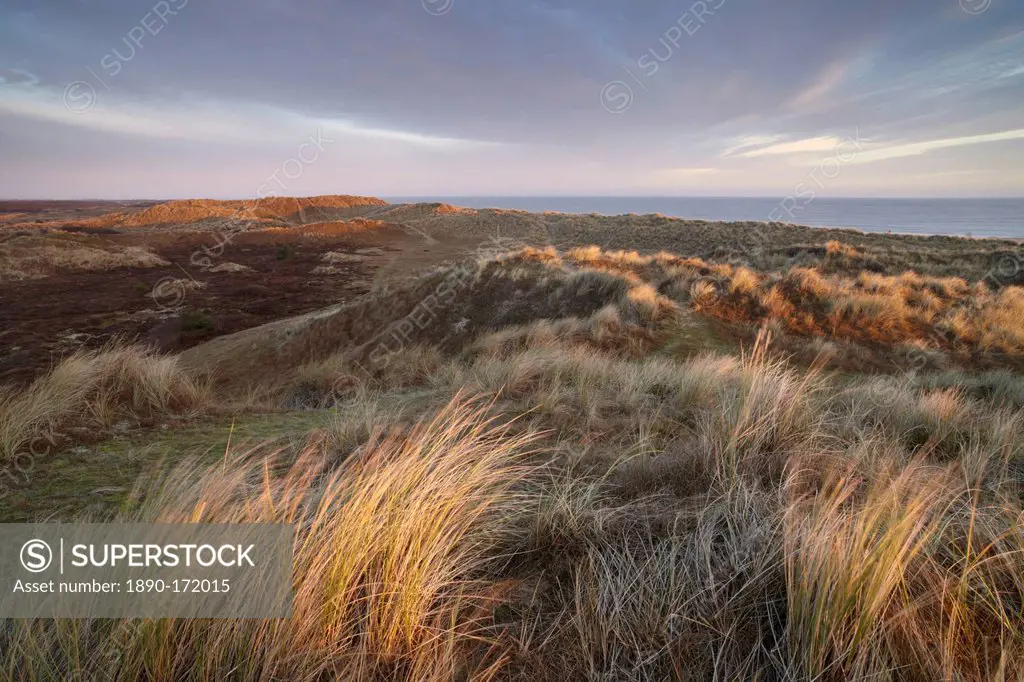 Dawn on the dunes at Winterton, Norfolk, England, United Kingdom, Europe