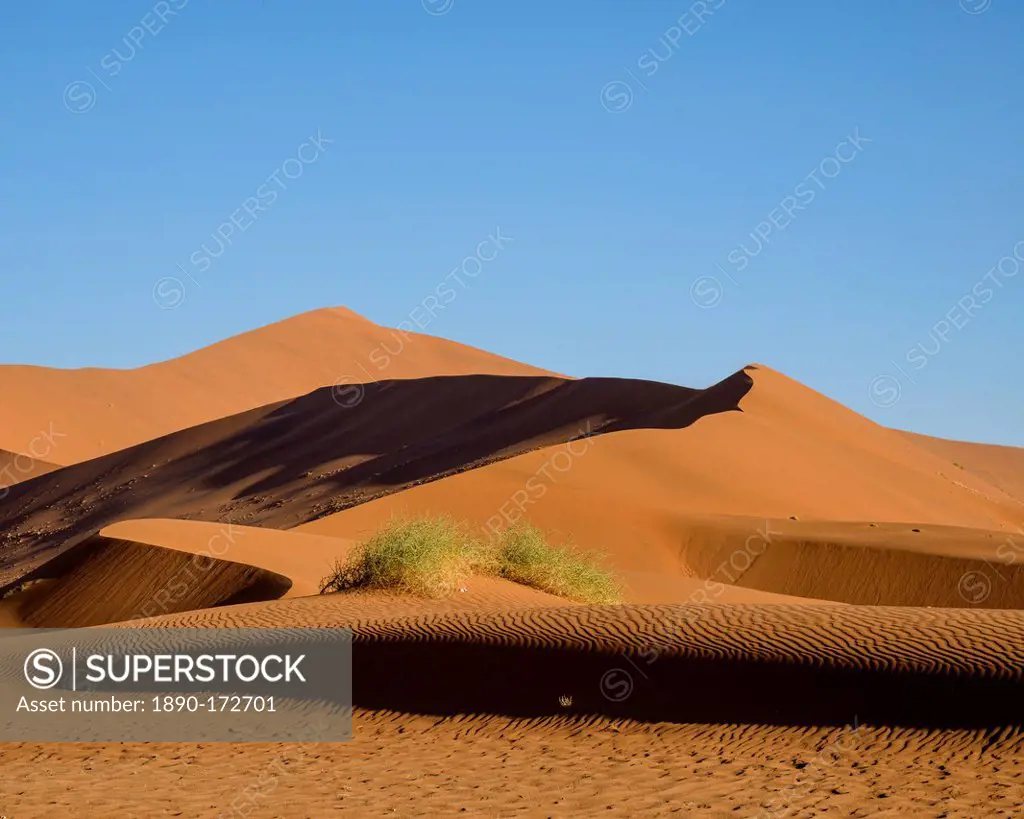 Looking towards Big Daddy and Mummy dunes at Deadvlei, Namib Naukluft, Namibia, Africa