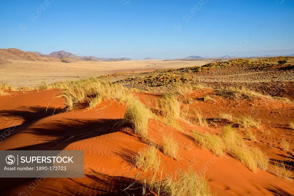 The red oxidised sand of the NamibRand dunes, Namib Desert, Namibia, Africa