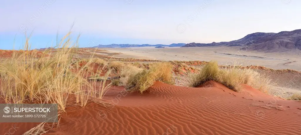 Panorama of the dunes and surrounding scenery of NamibRand at dawn, Namib Desert, Namibia, Africa