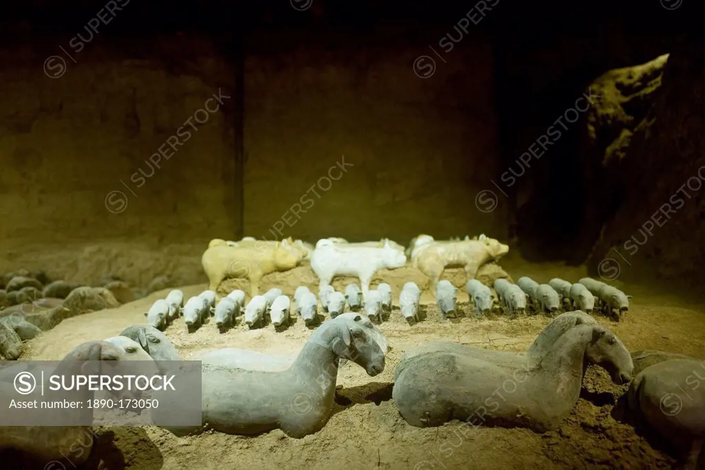 Terracotta animal figures, including piglets and sheep, at the Han Dynasty Tomb of Han Yang Ling, Xian, China