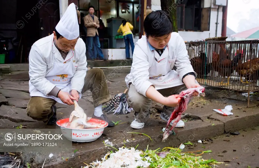 Chinese chefs gut rabbit and pluck chicken to cook for restaurant customers at Bao Ding near Chongqing, China