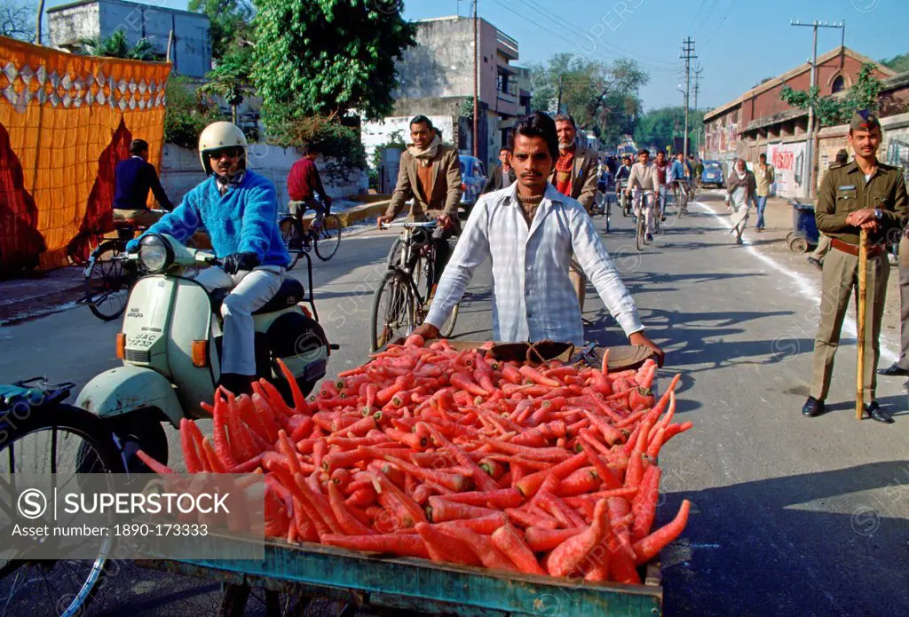 Transporting food to market through the streets of Islamabad, Pakistan