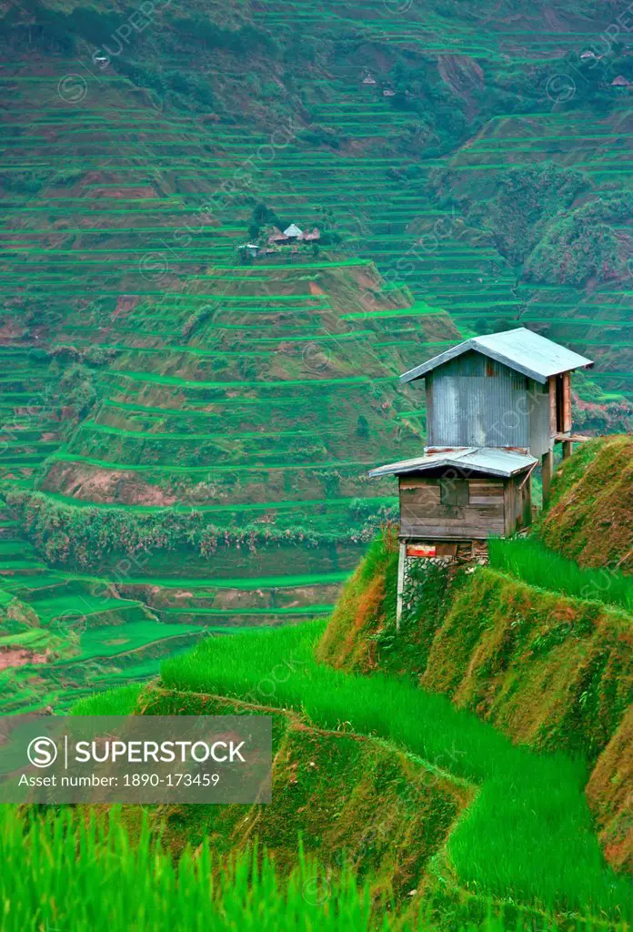 Stilted buildings overlooking rice terraces, Banaue, Philippines