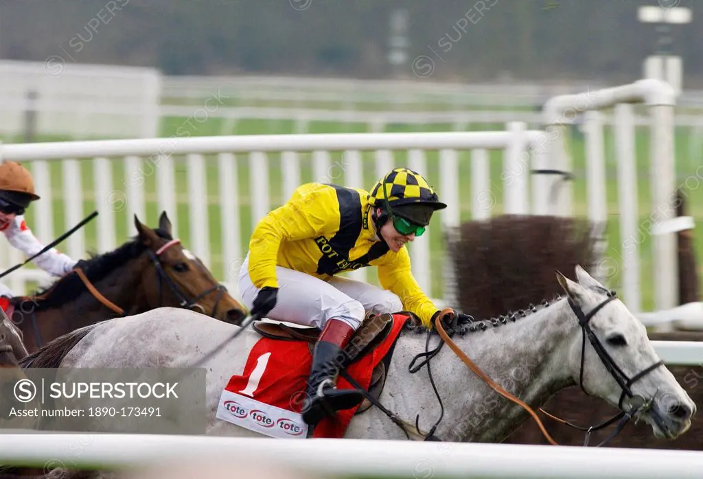 Richard Johnson Riding Rooster Booster In The Tote Gold Trophy Hurdle Race At Newbury Racecourse T0 Take Second Place
