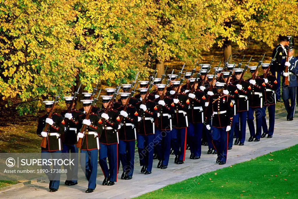 U.S Military at Arlington National Cemetery in Washington.