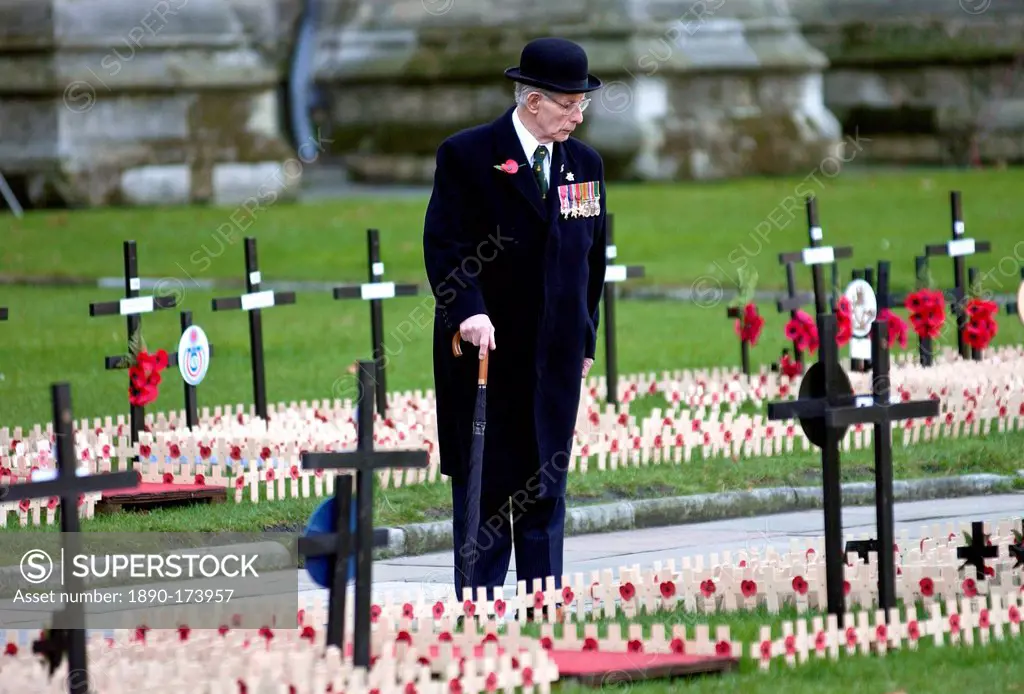 A war veteran touring the Field of Remembrance at St Margaret's Church in Westminster, London