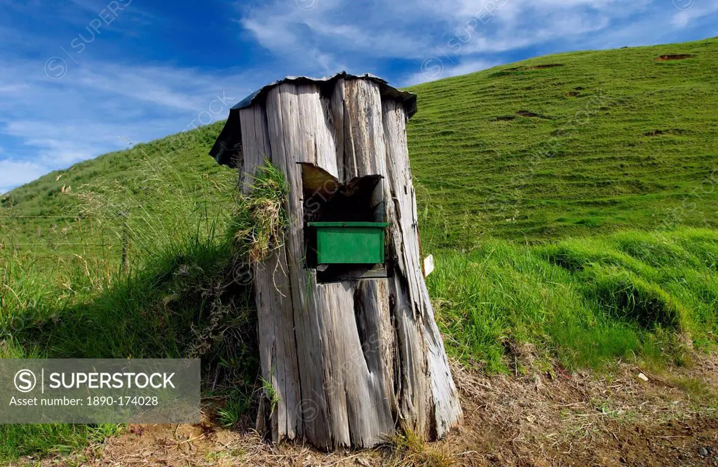 Mailbox set into tree trunk, North Island, New Zealand