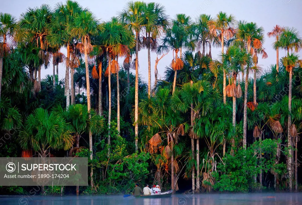 Tourists in a boat on Lake Sandoval, Peruvian Rainforest, South America in the early morning.